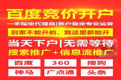 某公司SEO与SEM整合营销的全程记录